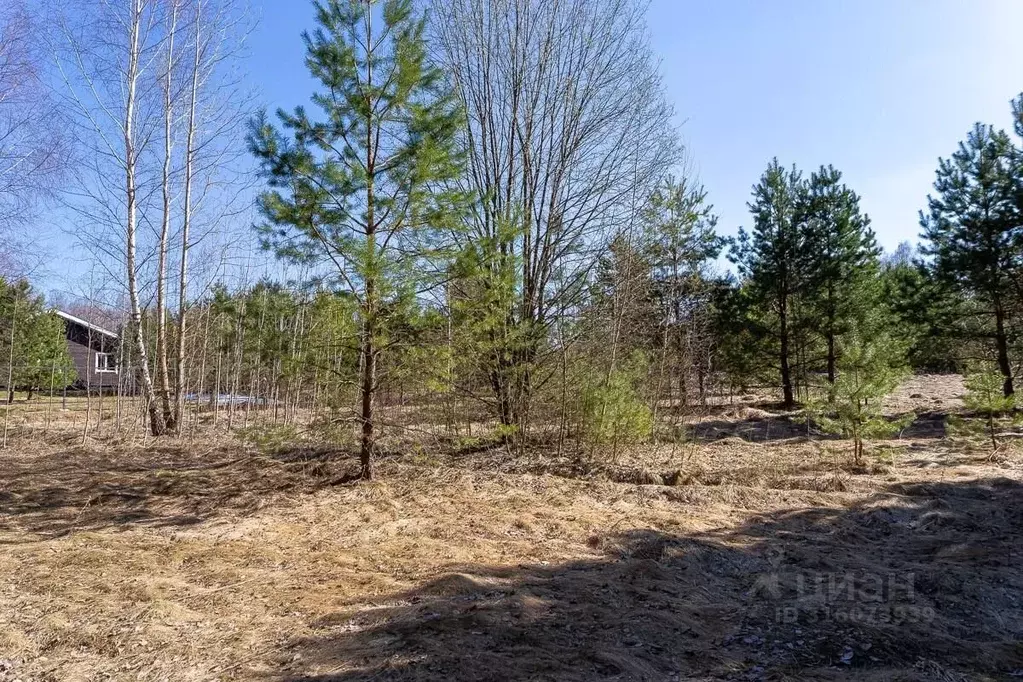 Участок в Владимирская область, Судогодский район, Лавровское ... - Фото 0