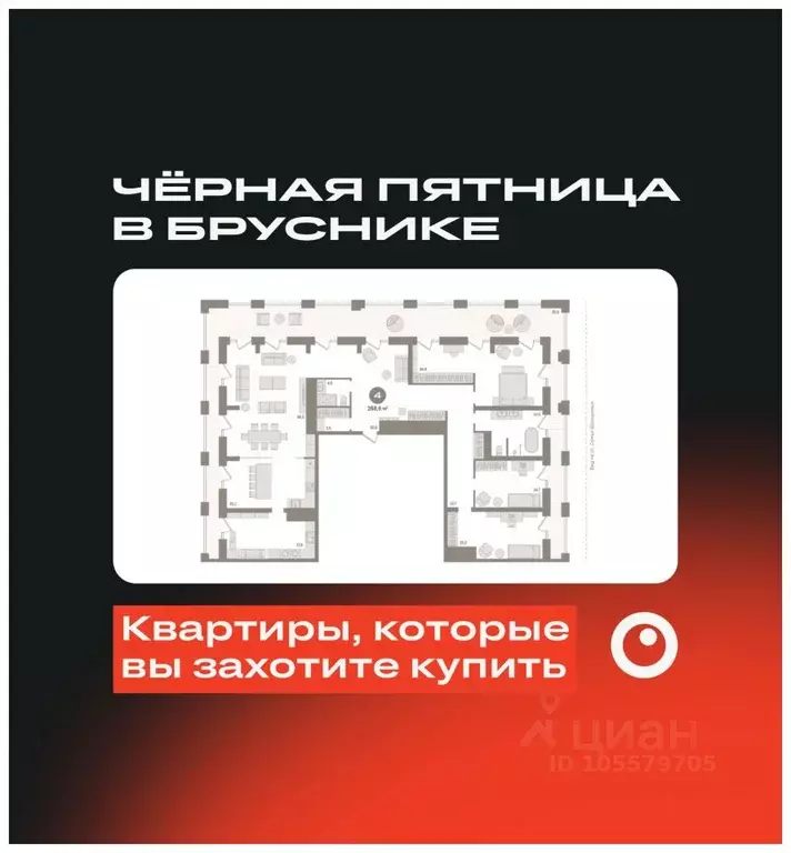 Студия Новосибирская область, Новосибирск ул. Семьи Шамшиных, с91 ... - Фото 0