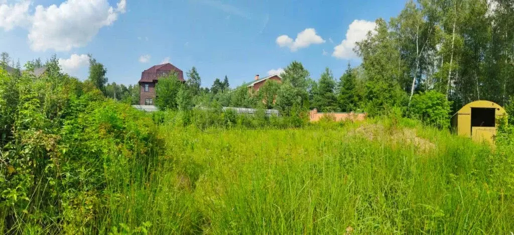 Продается участок в д. Осеченки - Фото 2