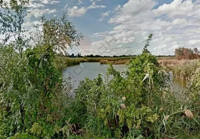 Участок в Свободное, Колхозная улица, 59 (36 м) - Фото 0