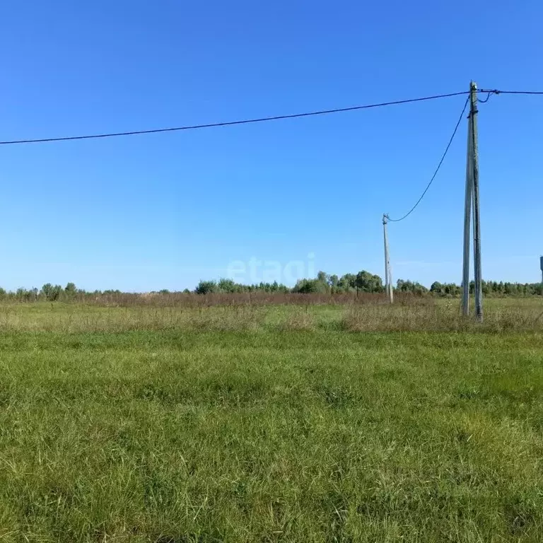 Участок в Нижегородская область, Выкса городской округ, с. Борковка  ... - Фото 0