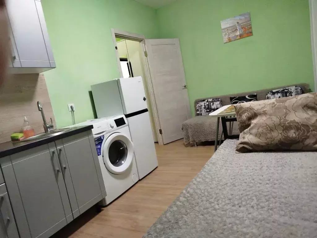 Студия Московская область, Истра муниципальный округ, д. Черная ул. ... - Фото 1