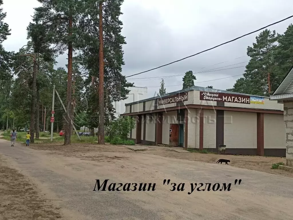 4-комнатная квартира: Старая Малукса, улица Новосёлов, 33 (72 м) - Фото 1
