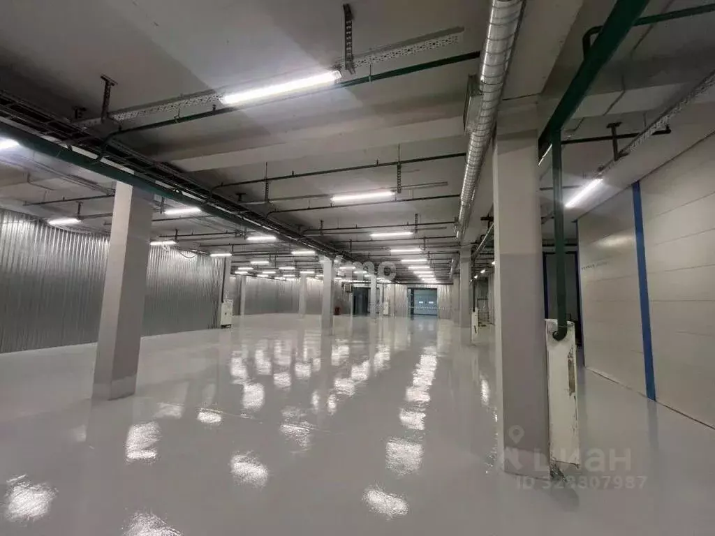 Склад в Москва пос. Ульяновского лесопарка, 1с1 (700 м) - Фото 2