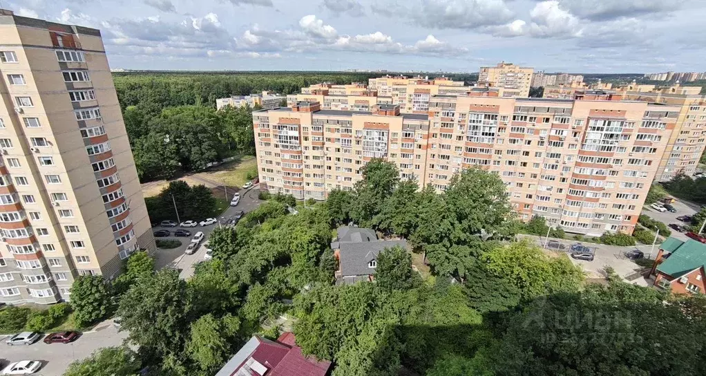 1-к кв. Московская область, Лосино-Петровский городской округ, ... - Фото 2