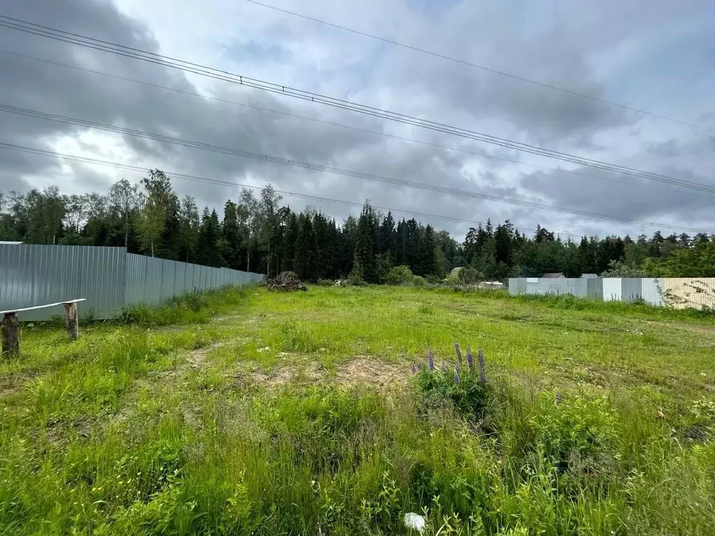 Участок в Московская область, Щелково городской округ, Заозерный СНТ  ... - Фото 1