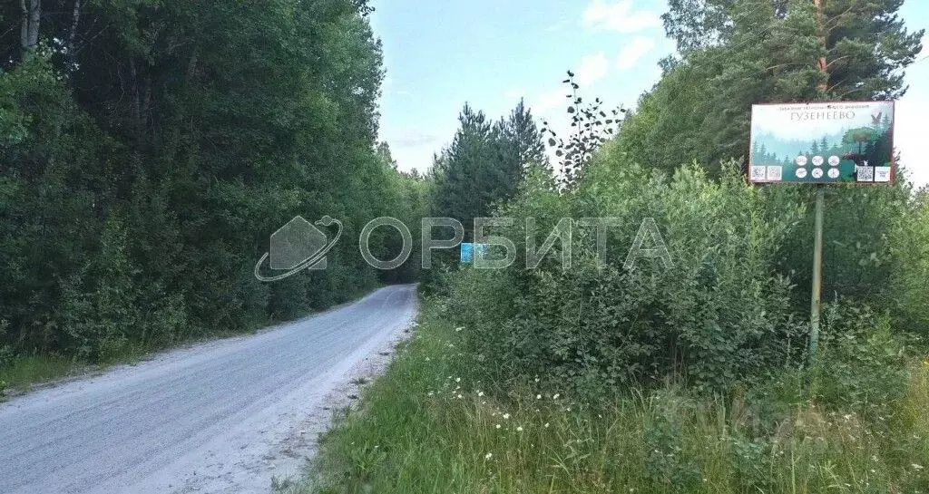 Участок в Тюменская область, Нижнетавдинский район, д. Штакульская  ... - Фото 1