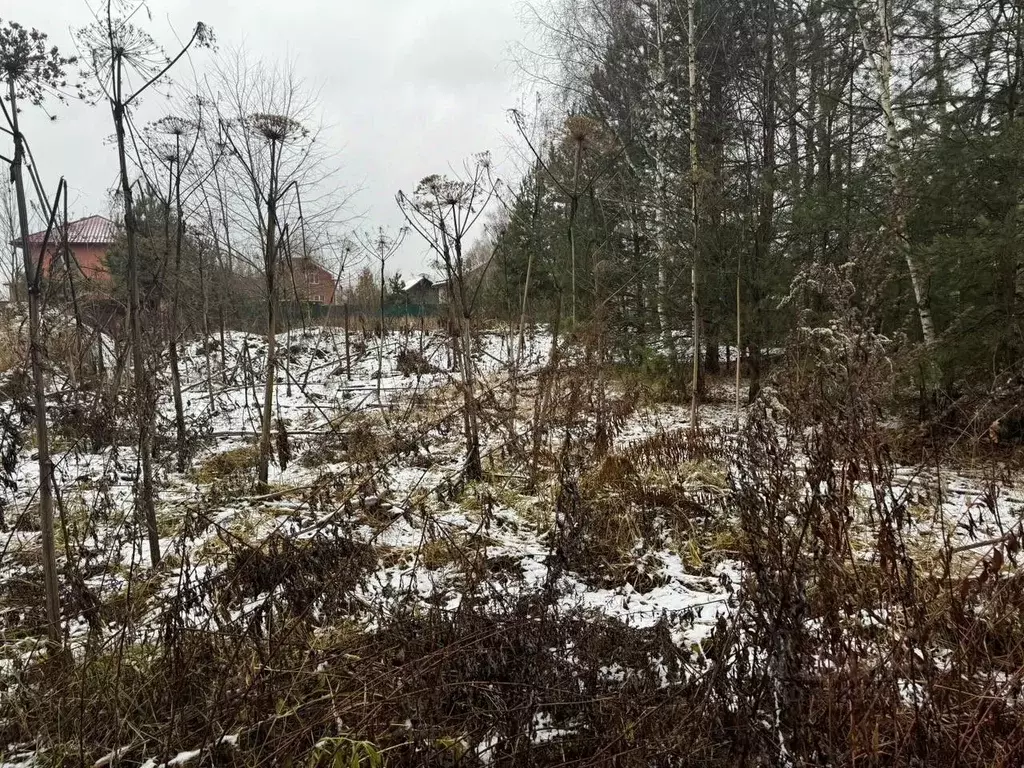 Участок в Московская область, Богородский городской округ, с. Ямкино  ... - Фото 0