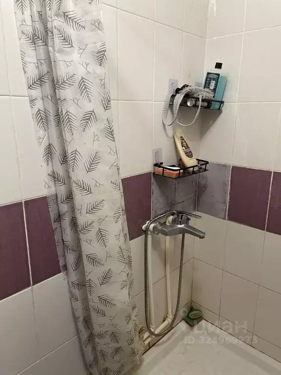 Студия Красноярский край, Красноярск Коммунальная ул., 4 (18.0 м) - Фото 2