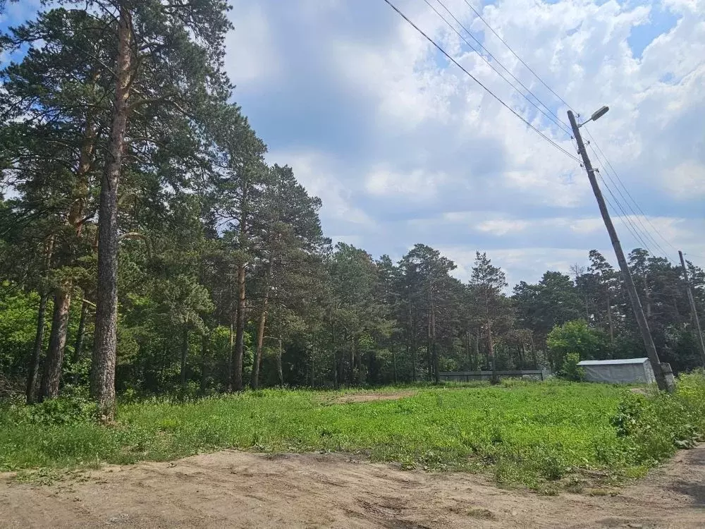 Участок в Новосибирская область, Тогучин ул. Лапина, 1Ж (15.0 сот.) - Фото 2