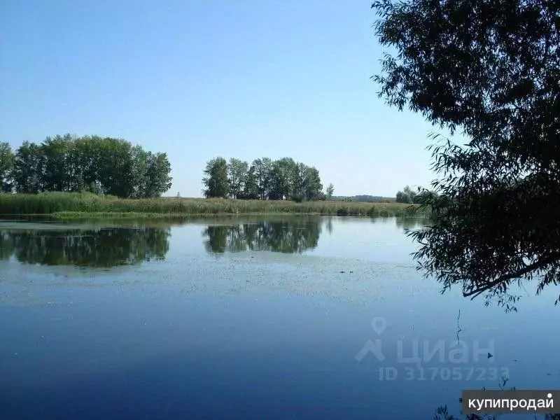 Участок в Самарская область, Ставропольский район, Нижнее Санчелеево ... - Фото 0