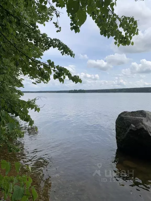 Участок в Тверская область, Кашинский городской округ, д. Белеутово  ... - Фото 0