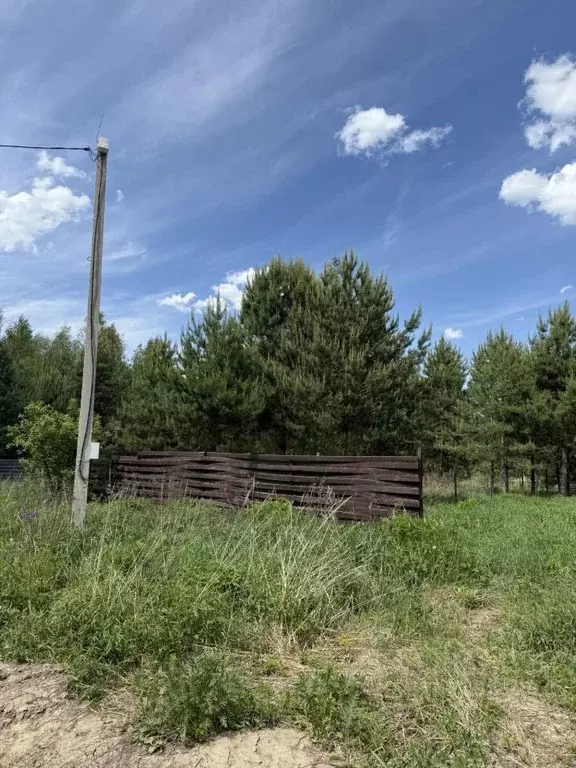 Участок в Владимирская область, Суздальский район, Боголюбовское ... - Фото 0