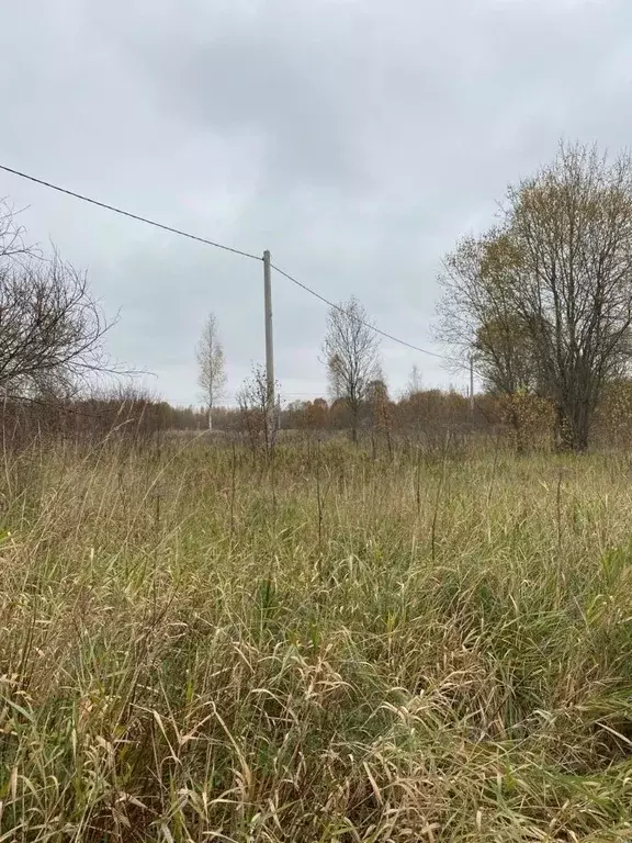 Участок в Новгородская область, Новгородский район, Савинское с/пос, ... - Фото 0