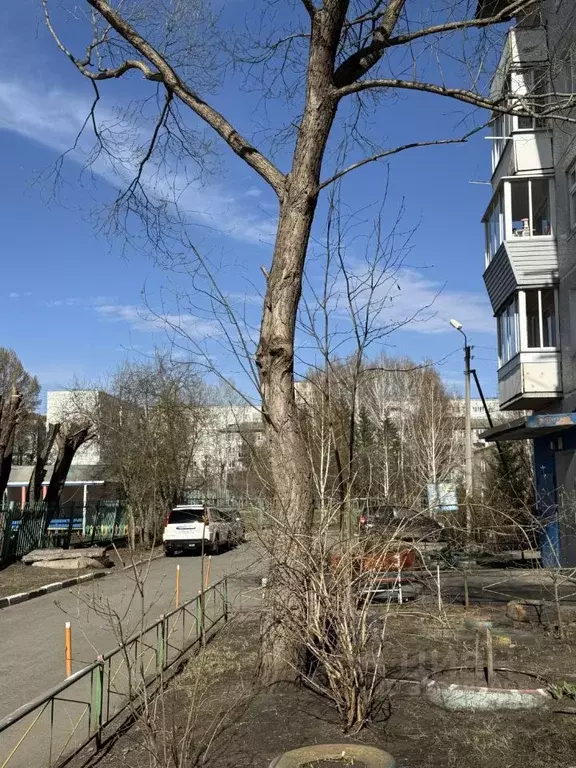 3-к кв. Омская область, Омск просп. Комарова, 27/7 (68.0 м) - Фото 2