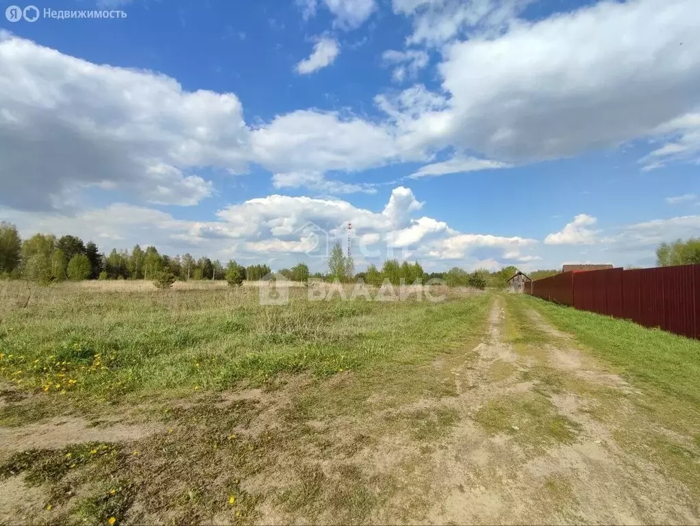 Участок в Богородский городской округ (68763 м) - Фото 1