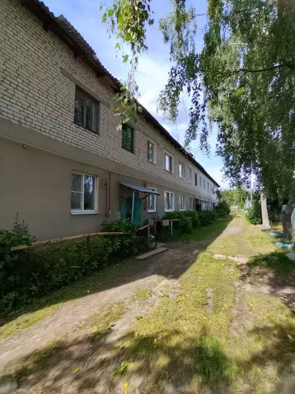 Комната Нижегородская область, Богородский муниципальный округ, с. ... - Фото 0