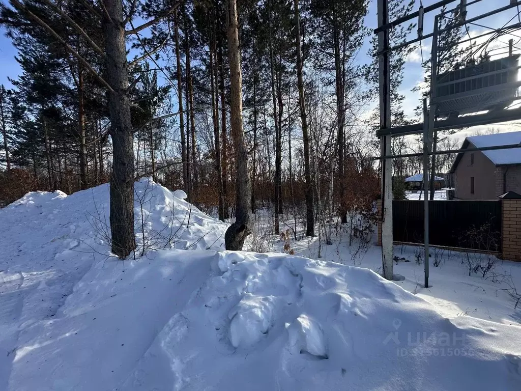 Участок в Амурская область, Благовещенский район, с. Чигири ул. ... - Фото 1