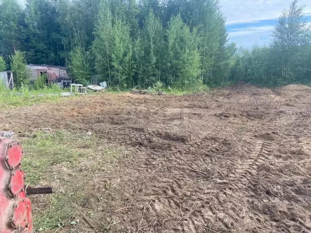 Участок в Ханты-Мансийский АО, Сургутского муниципального района тер., ... - Фото 1