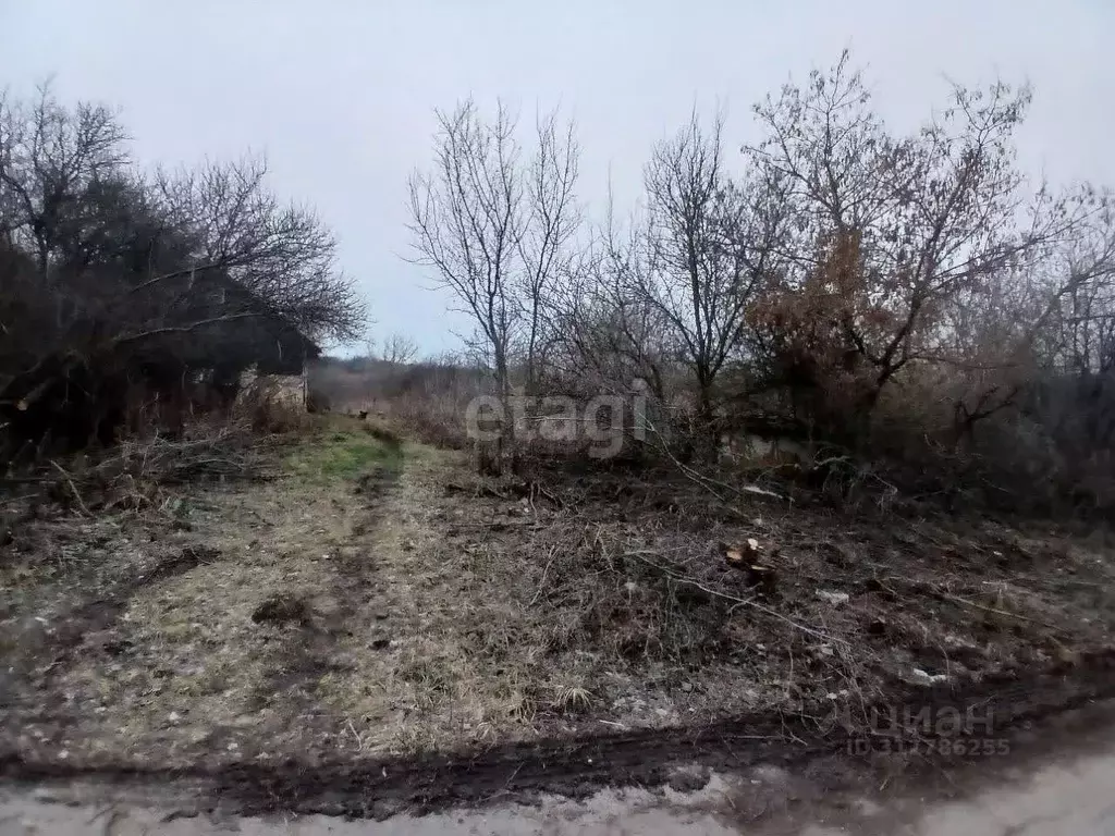 Участок в Белгородская область, Валуйский муниципальный округ, с. ... - Фото 1