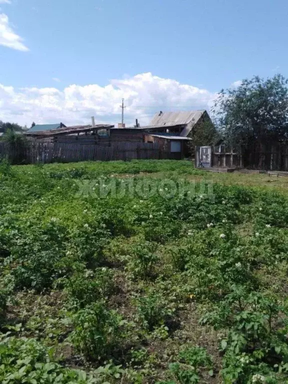 Дом в Забайкальский край, Борзя Бульварная ул. (60 м) - Фото 1