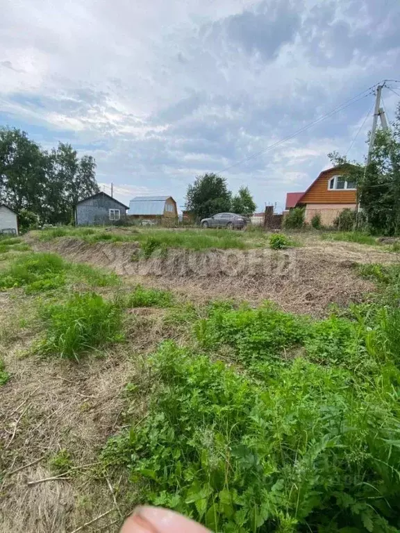Участок в Новосибирская область, Новосибирский район, Мичуринский ... - Фото 0
