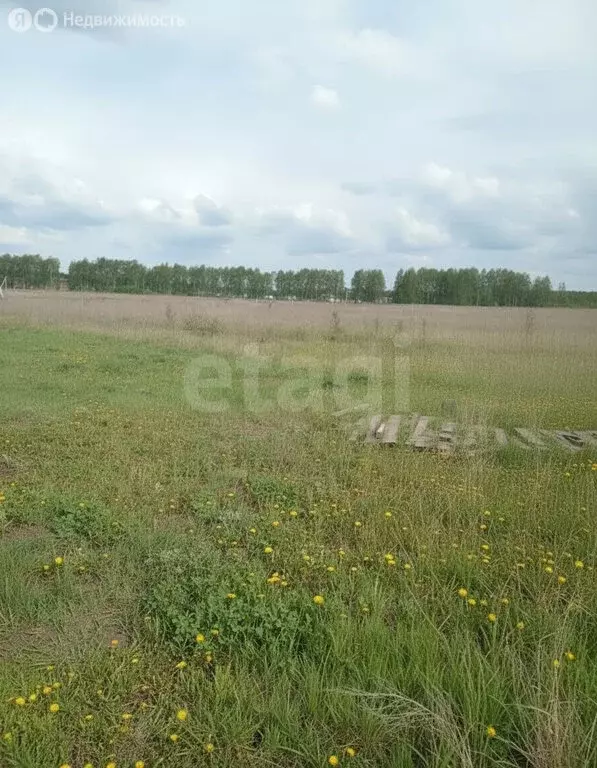 Участок в село Хохлово, Солнечная улица (15 м) - Фото 2