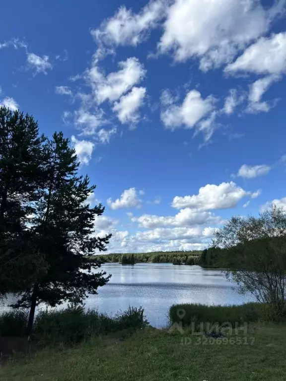 Участок в Кировская область, Кирово-Чепецкий район, Пасеговское с/пос, ... - Фото 1