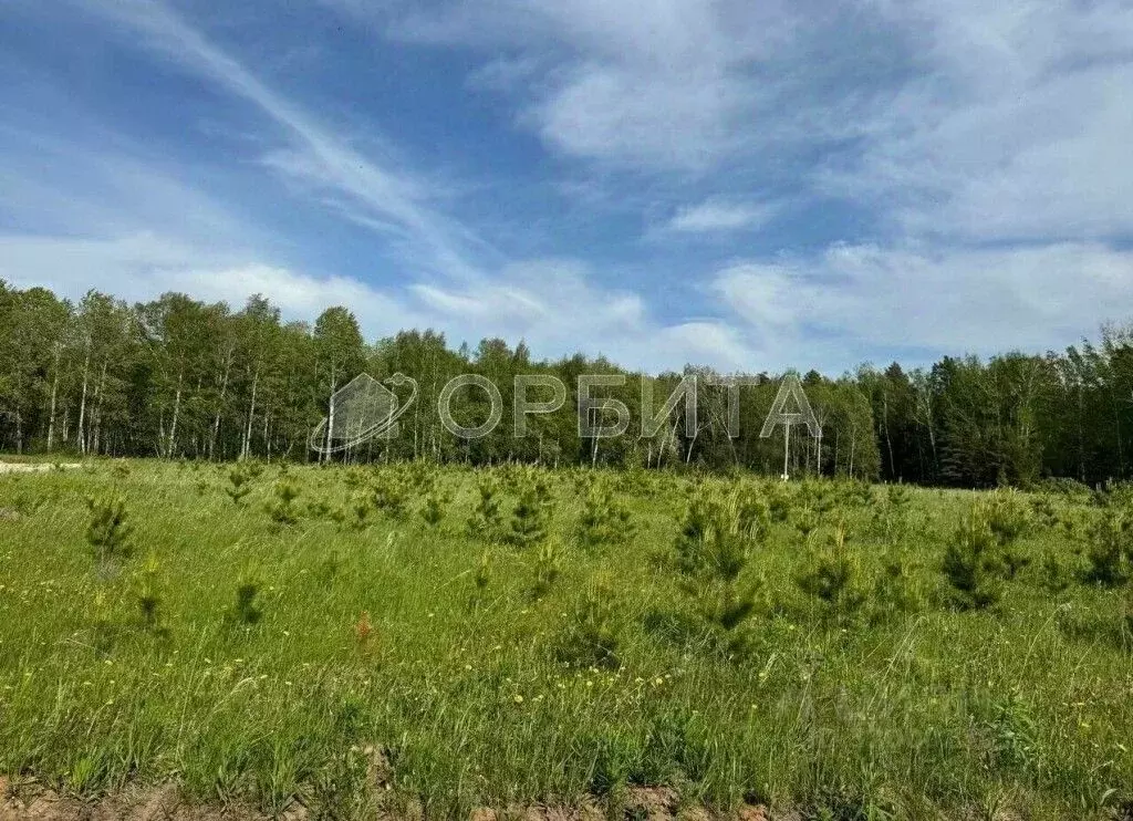 Участок в Тюменская область, Тюменский район, д. Ушакова Советская ул. ... - Фото 1