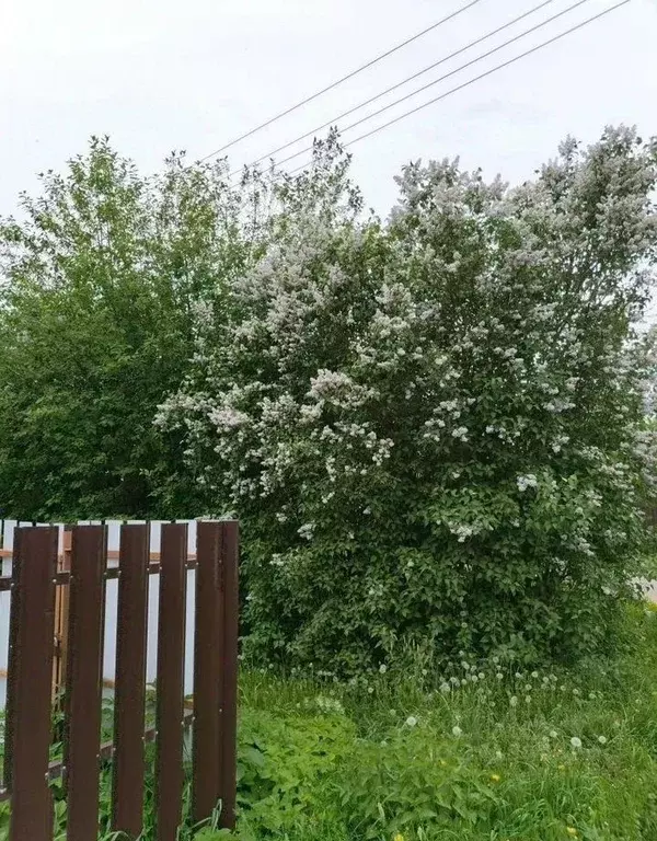 Участок в Московская область, Орехово-Зуевский городской округ, д. ... - Фото 2