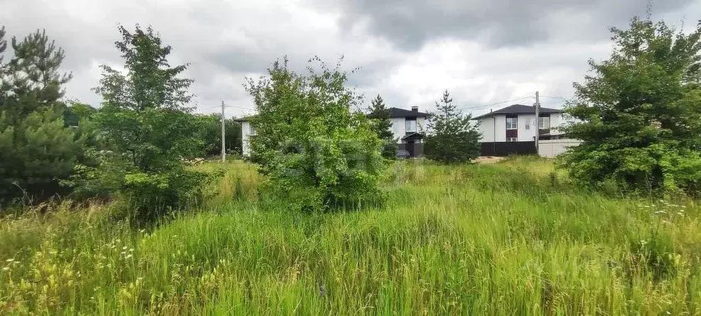 Участок в Воронежская область, Рамонский район, Айдаровское с/пос, с. ... - Фото 2