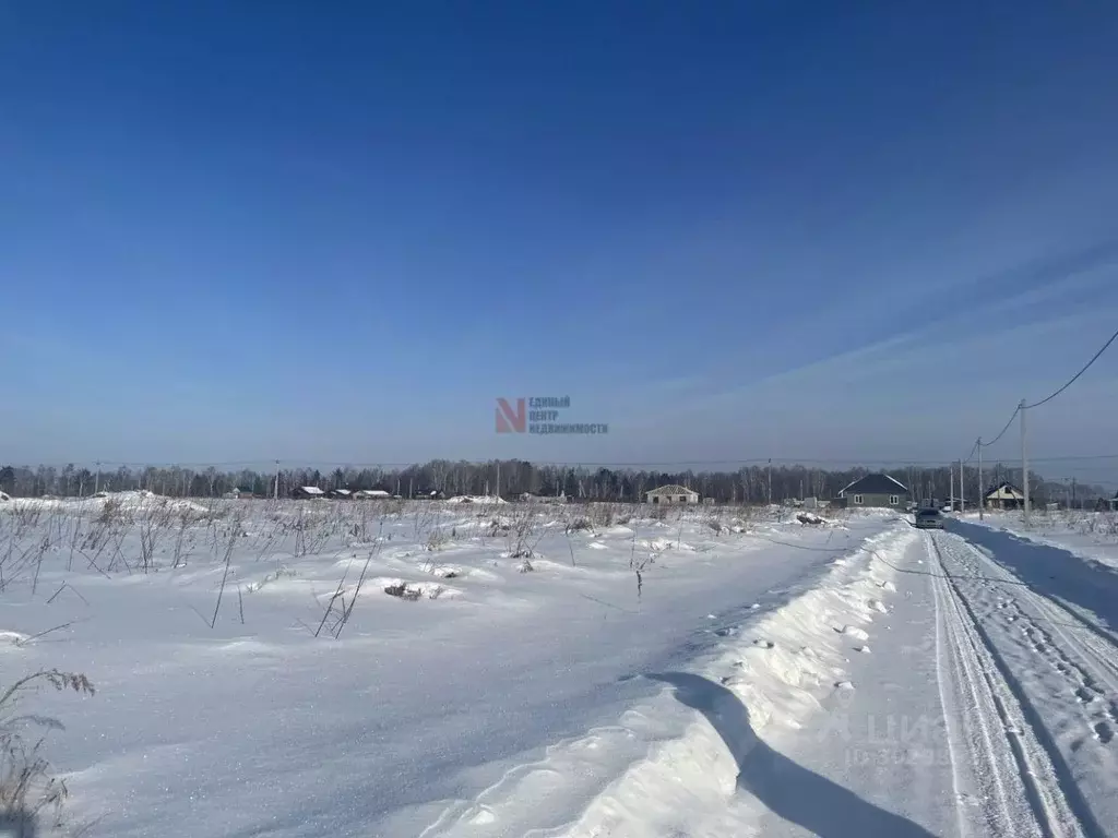 участок в тюменская область, тюменский район, с. каменка (14.23 сот.) - Фото 1