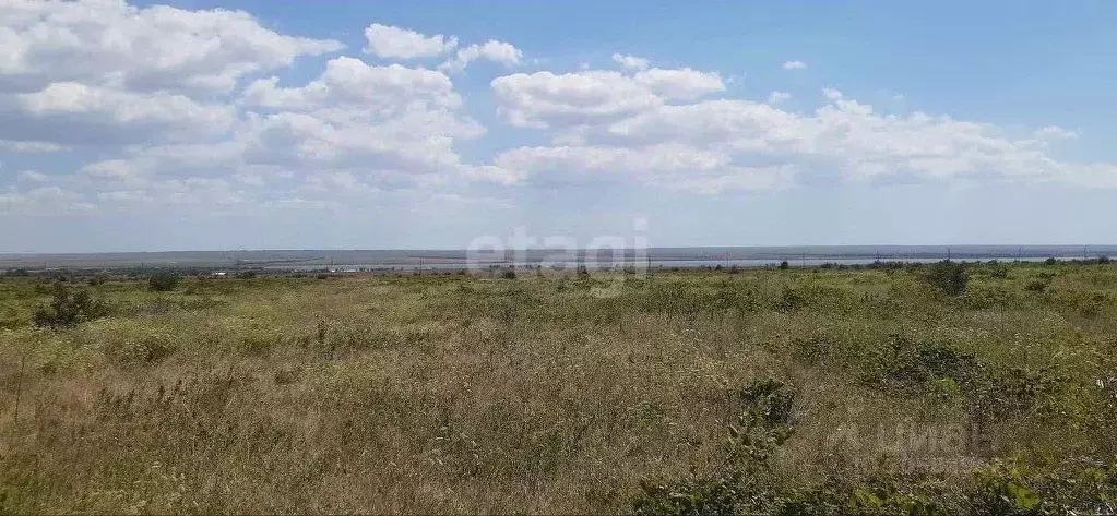 Участок в Крым, Черноморский район, с. Межводное ул. Джарылгачская ... - Фото 0