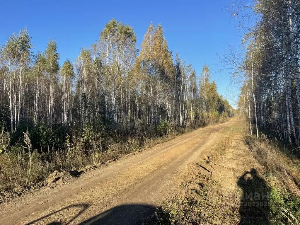 Участок в Челябинская область, Сосновский муниципальный округ, Городок ... - Фото 1