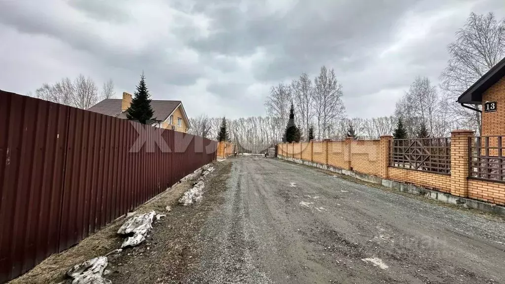 Участок в Новосибирская область, Новосибирский район, Каменский ... - Фото 1