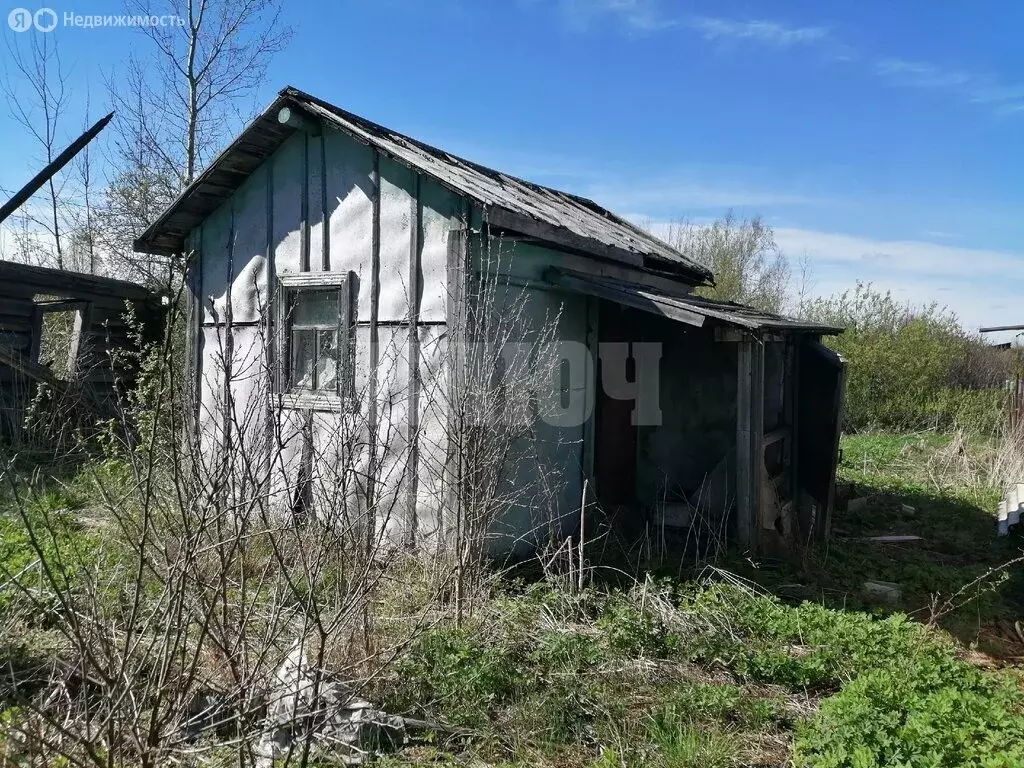 Участок в Вологодская область, Сокольский муниципальный округ, деревня ... - Фото 1