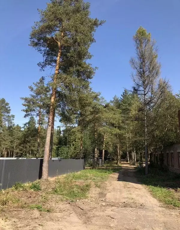 Участок в Ленинградская область, Луга  (16.0 сот.) - Фото 1