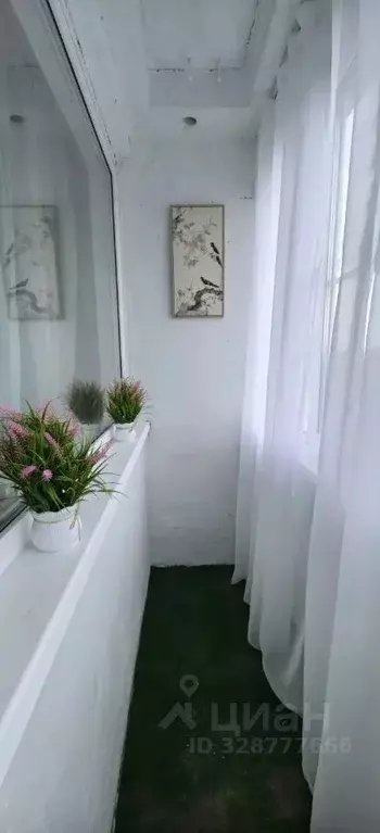 1-к кв. Ленинградская область, Сосновый Бор ул. Машиностроителей, 8 ... - Фото 2