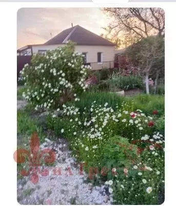 Дом в Белгородская область, Яковлевский муниципальный округ, с. ... - Фото 1
