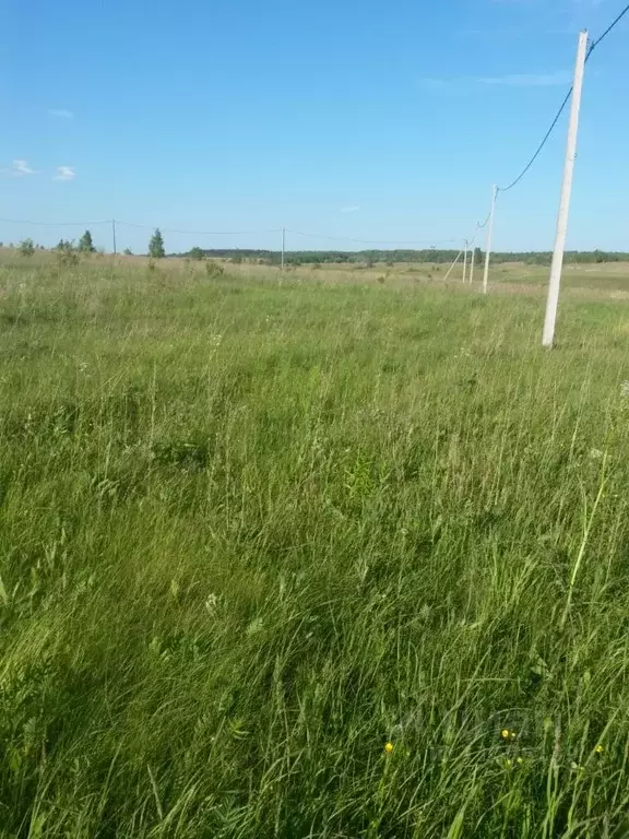 Участок в Тульская область, Веневский район, д. Подлипки  (15.0 сот.) - Фото 1