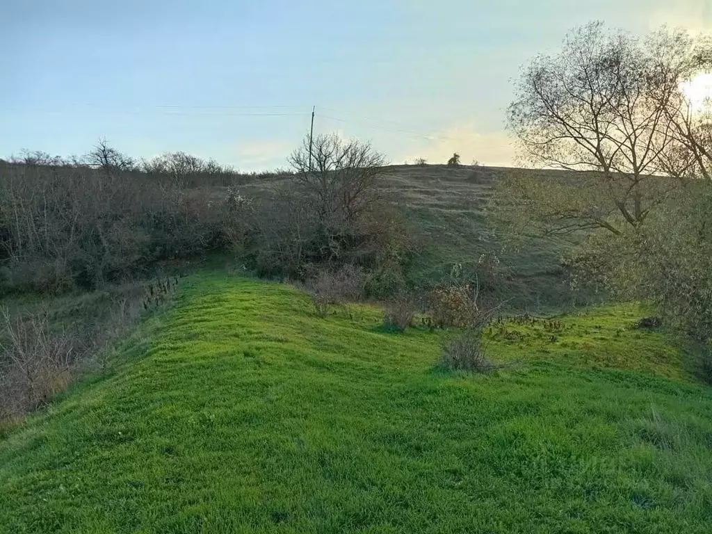 Участок в Крым, Бахчисарайский район, с. Вилино ул. Ленина (5000.0 ... - Фото 1