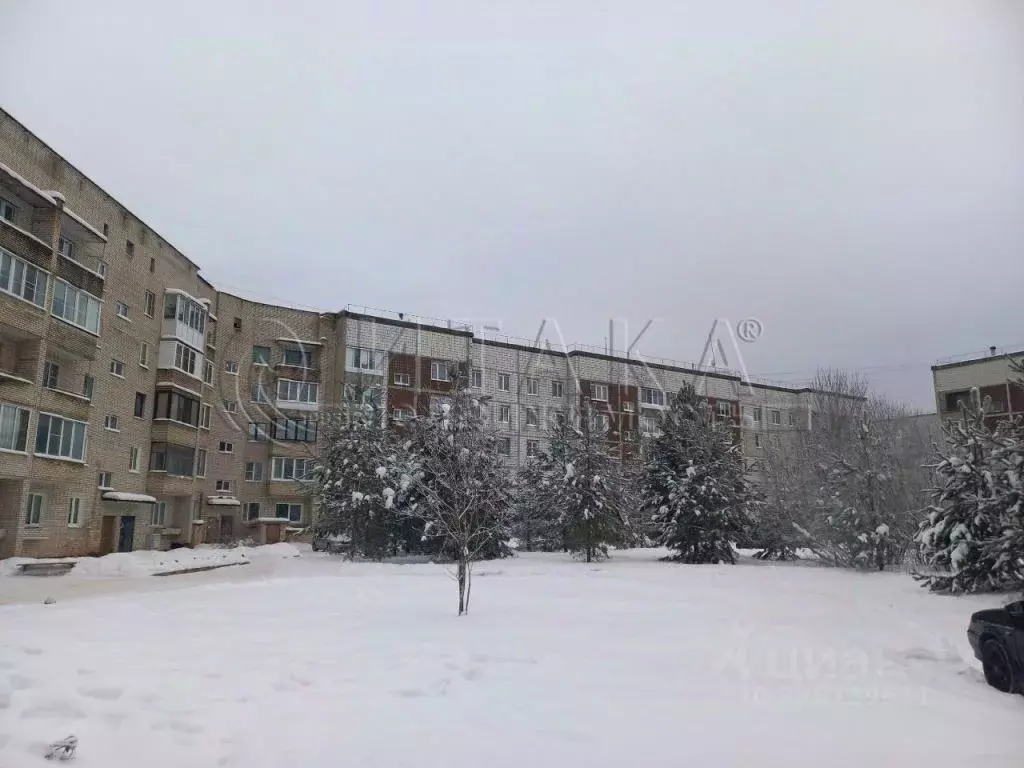 2-к кв. Ленинградская область, Пикалево г. Бокситогорский район, ... - Фото 2