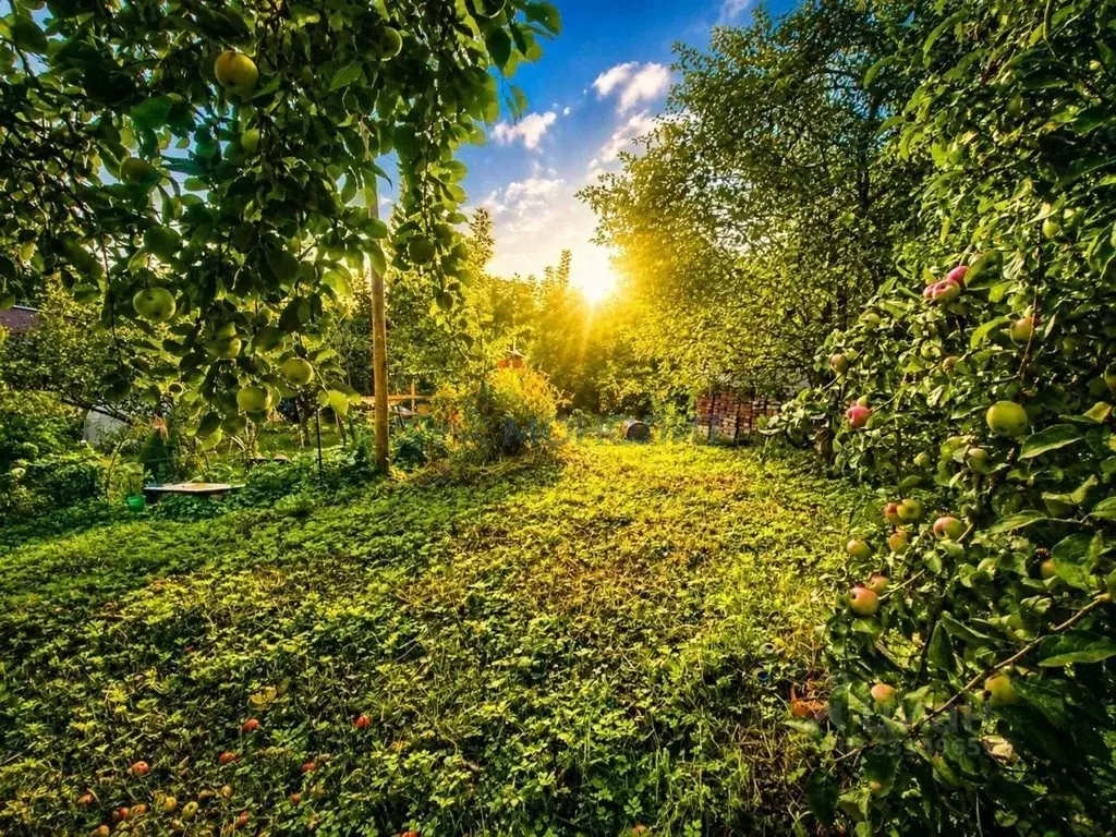 Участок в Нижегородская область, Нижний Новгород Колос СНТ, 260 (5.42 ... - Фото 1