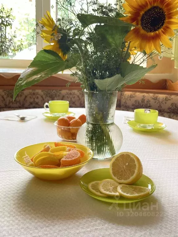 Таунхаус в Омская область, Любинский район, Красный Яр рп ул. 70 лет ... - Фото 2