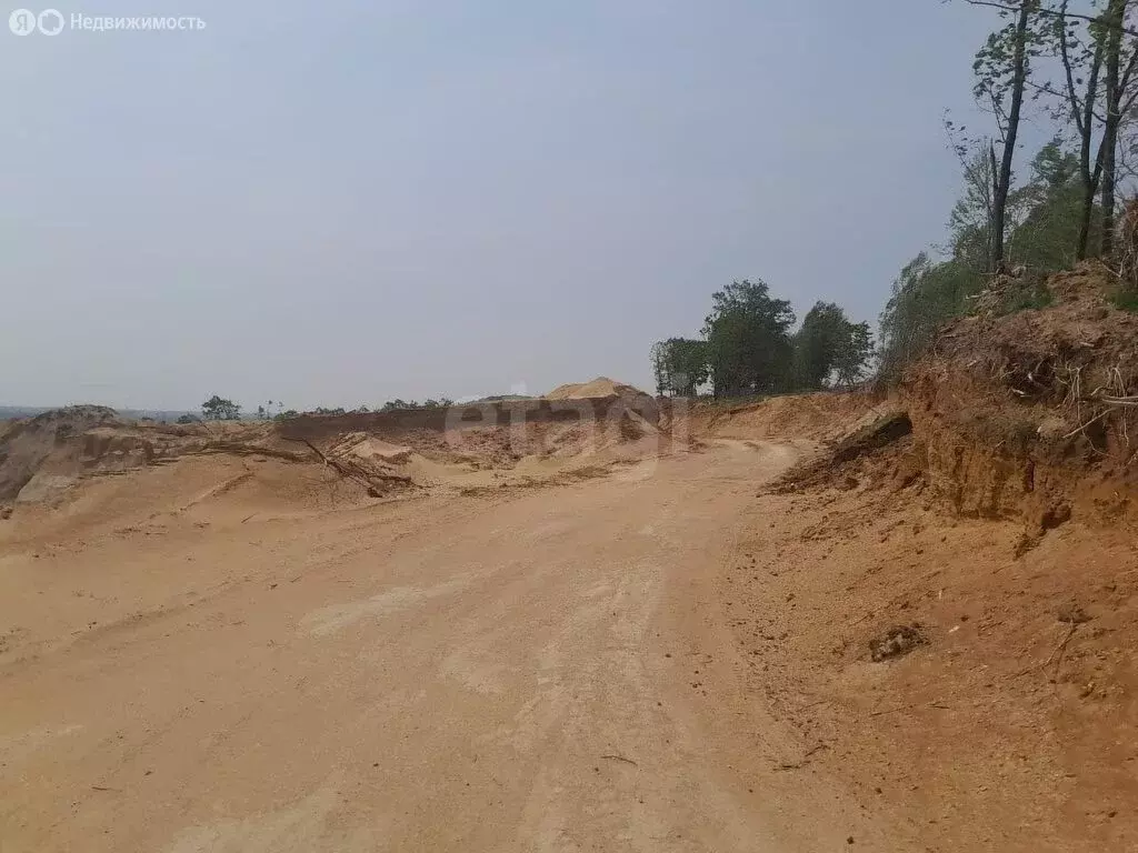 Участок в Амурская область, Серышевский муниципальный округ, село ... - Фото 0
