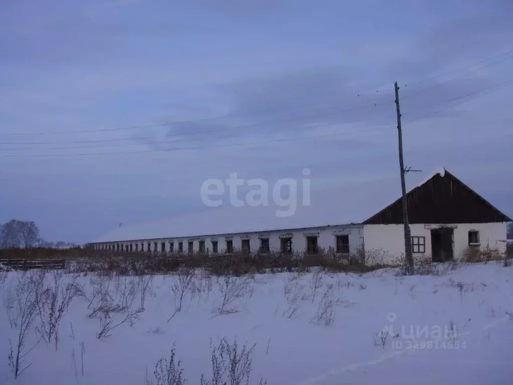 Склад в Курганская область, Шатровский муниципальный округ, д. Ударник ... - Фото 1