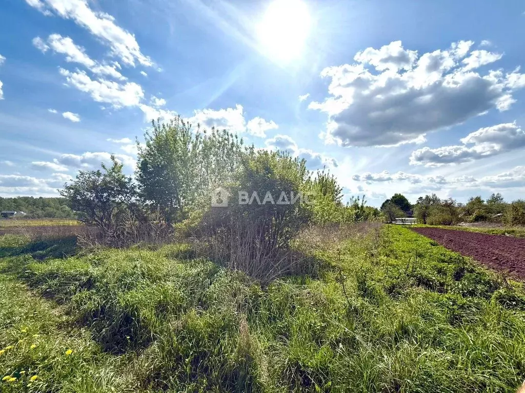 Участок в Московская область, Луховицы муниципальный округ, д. ... - Фото 2