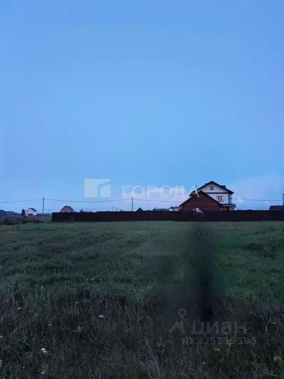 Участок в Новосибирская область, Новосибирский район, Толмачевский ... - Фото 1