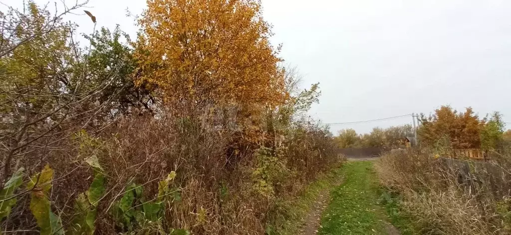 Участок в Вологодская область, Сокол ул. Жилучасток 2 (15.0 сот.) - Фото 0