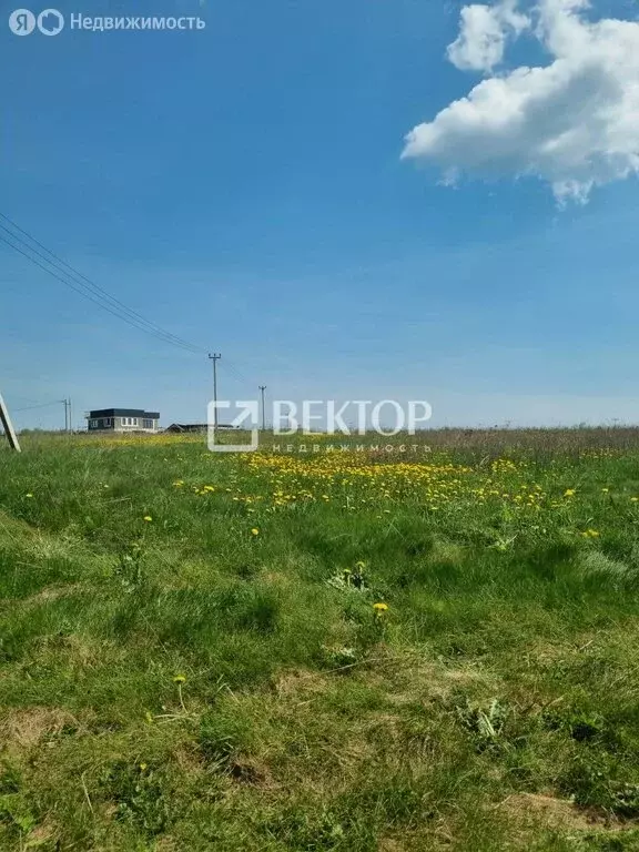 Участок в Ивановский район, Беляницкое сельское поселение, деревня ... - Фото 0